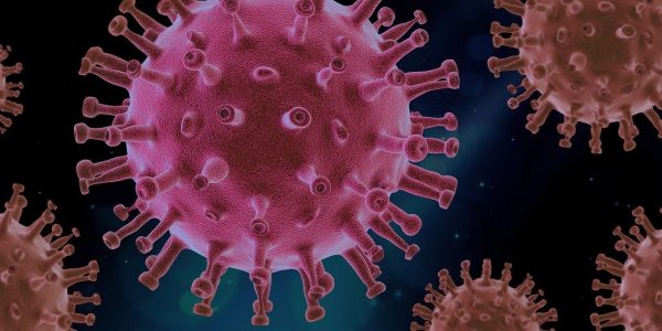 Pandémie: les 3 scénarios de l’OMS pour cette année