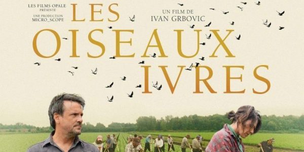 «Les oiseaux ivres» est le grand gagnant du 24e Gala Québec Cinéma