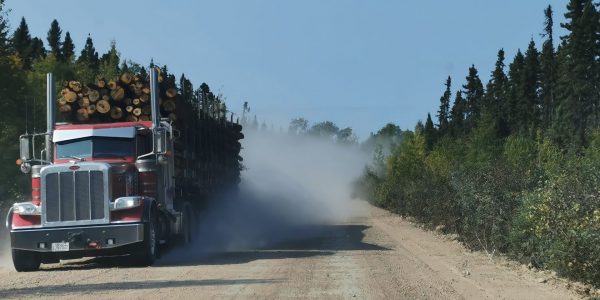 Planification forestière: les pourvoiries du Québec veulent qu’on les considère