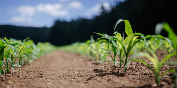 Le milieu agricole québécois propose des solutions pour aider sa relève