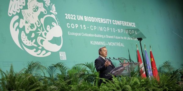 Cop15: Québec investira 650 millions $ pour contrer le déclin de la biodiversité