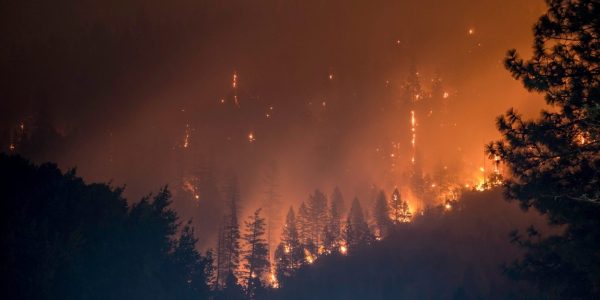 Les récents feux de forêt couteront plusieurs milliards à l’économie québécoise