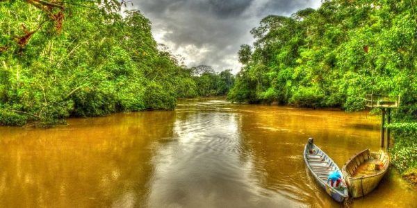 Les Équatoriens votent pour cesser l’exploitation d’un gisement pétrolier en Amazonie