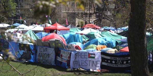 Le campement propalestinien installé à l’Université McGill doit-il être démantelé? 