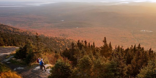 Québec va investir 920 millions $ pour protéger la nature et la biodiversité