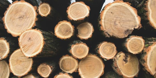 Environ 2000 employés du secteur forestier québécois vont perdre leur emploi d’ici demain