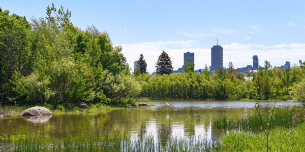 La Ville de Québec a dévoilé sa première stratégie pour la biodiversité