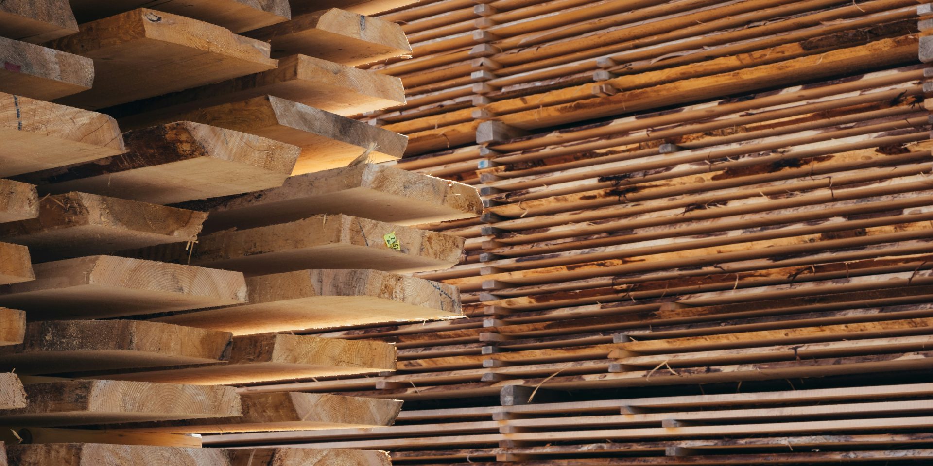 Les nouveaux tarifs américains sur le bois sont entrés en vigueur