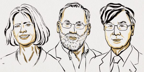 Le prix Nobel de médecine a été décerné à deux Américains et un Japonais