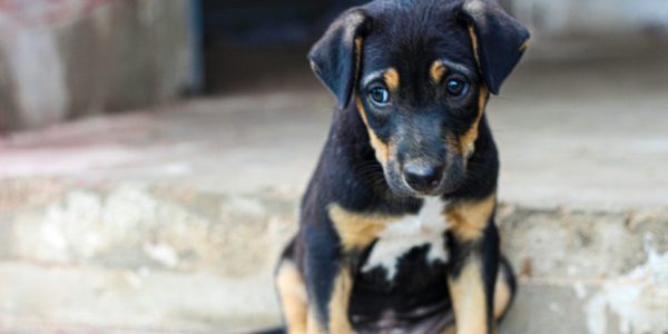 Révisez à la baisse vos attentes de rendement: le S&P 500 va s’essouffler