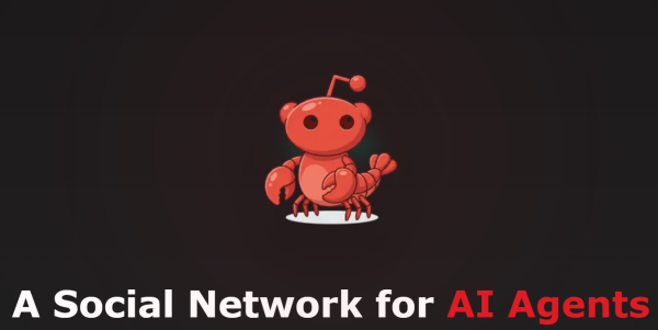 Un nouveau réseau «social» mais pas pour les humains: pour les agents d’IA
